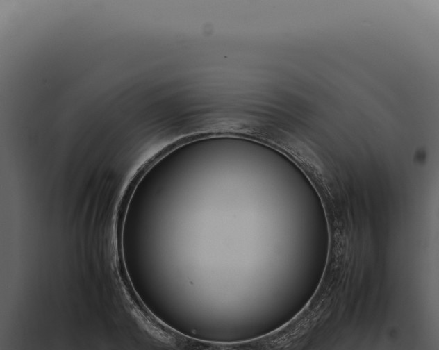 X0000097980792200804011744
