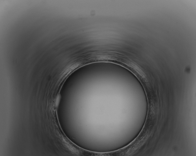 X0000097980793200804011744
