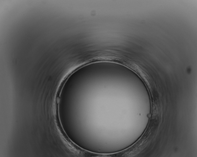 X0000097980795200804011744
