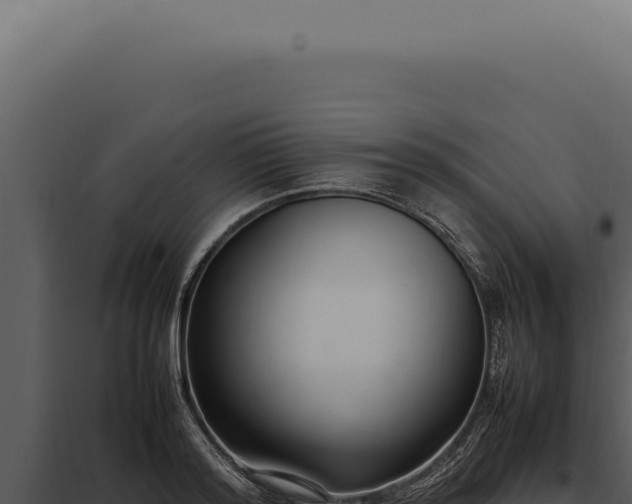 X0000097980796200804011744