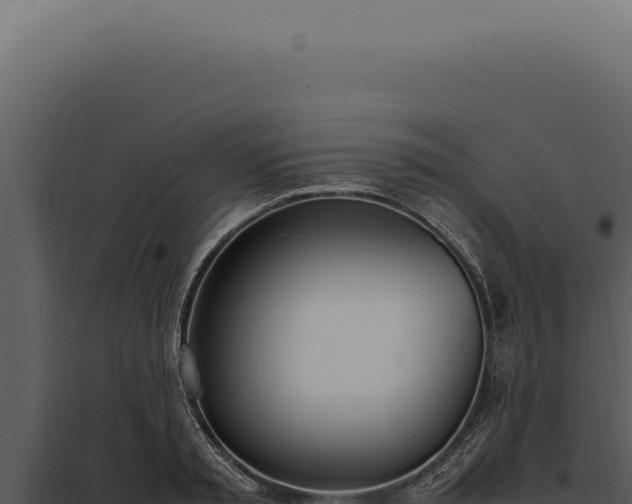 X0000097980797200804011744