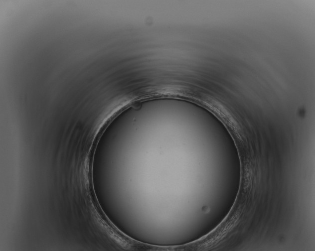 X0000097980798200804011744