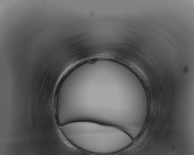 X0000097980800200804011744