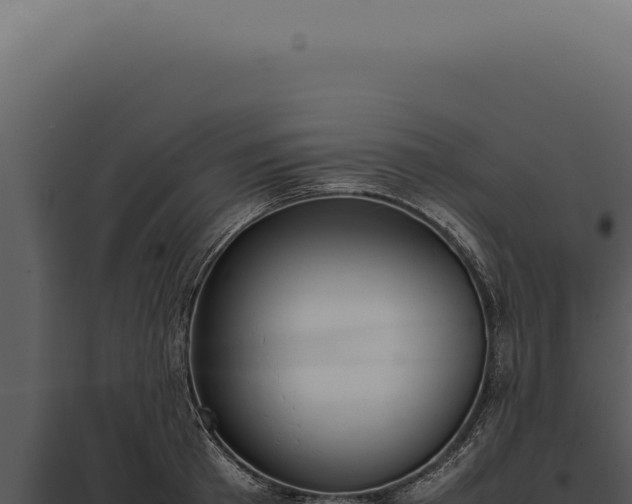 X0000097980801200804011744