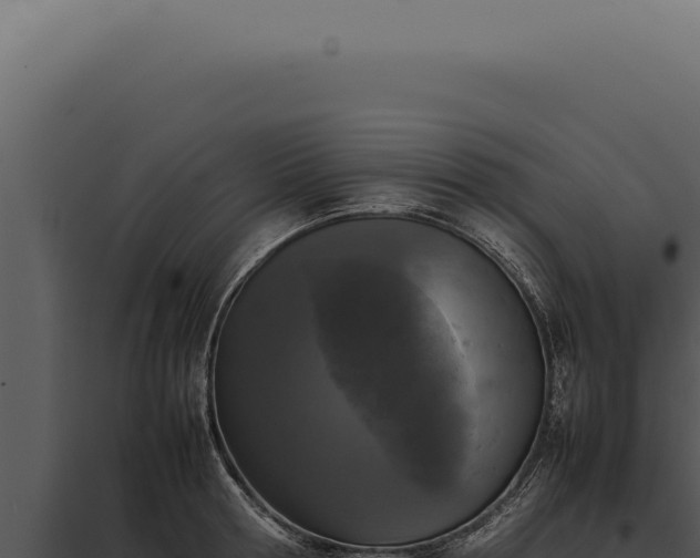 X0000097980802200804011743