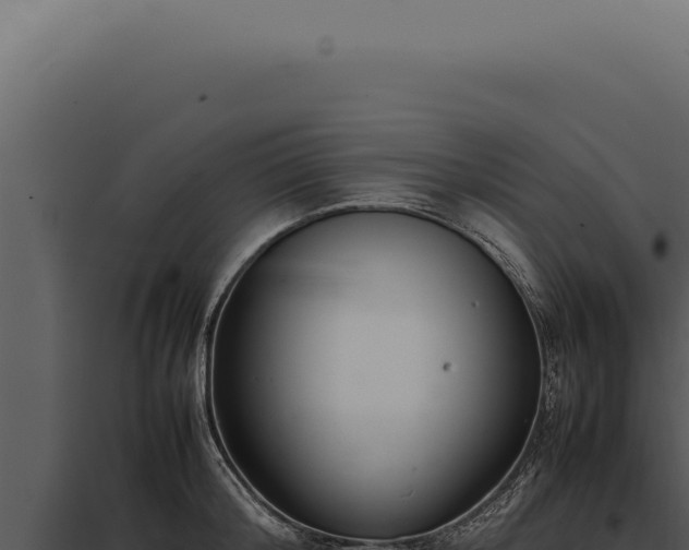 X0000097980804200804011743
