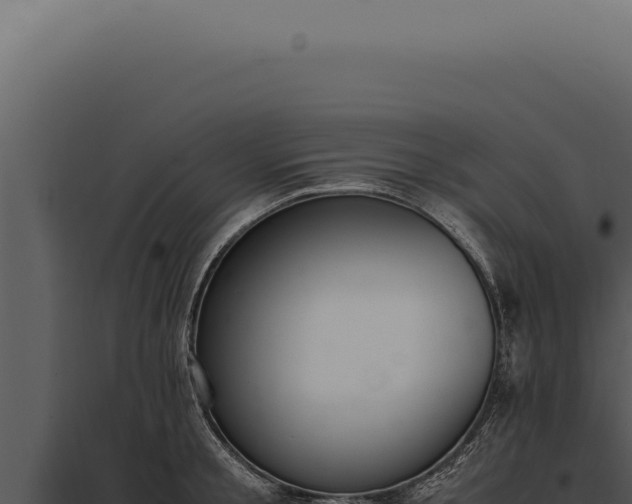 X0000097980805200804011743