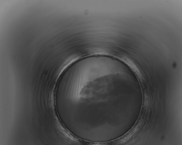 X0000097980806200804011743