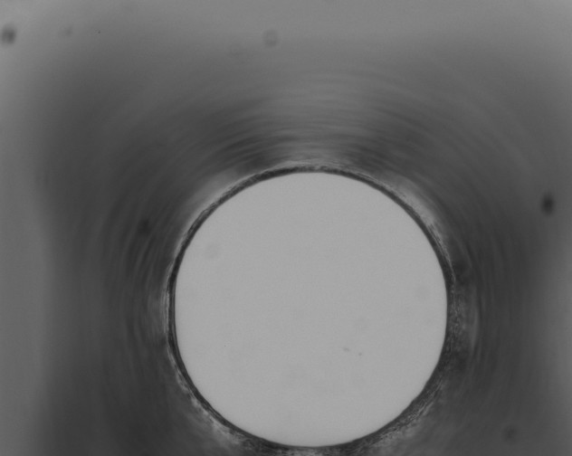 X0000097980807200804011743