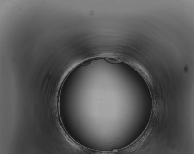 X0000097980808200804011743