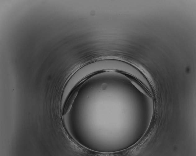 X0000097980809200804011743