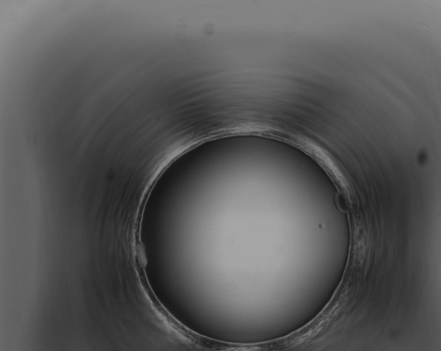 X0000097980810200804011743