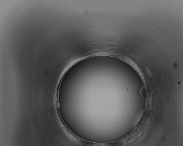 X0000097980811200804011743