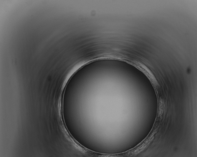 X0000097980812200804011743