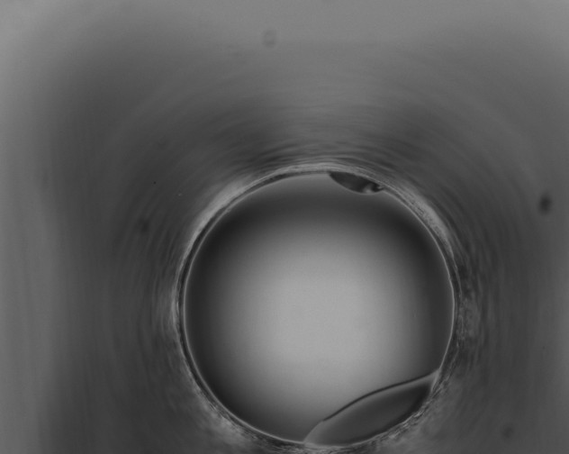 X0000097980813200804011743