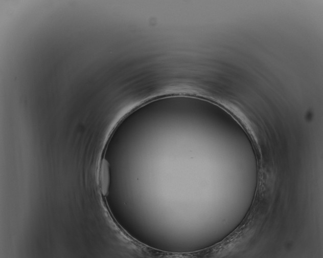 X0000097980815200804011743