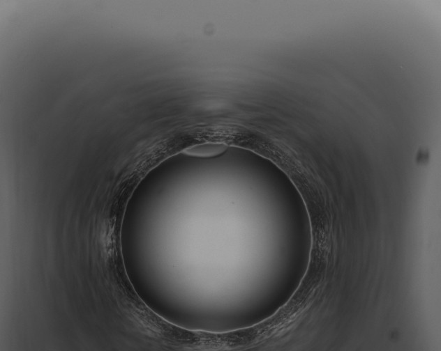 X0000097980818200804011743