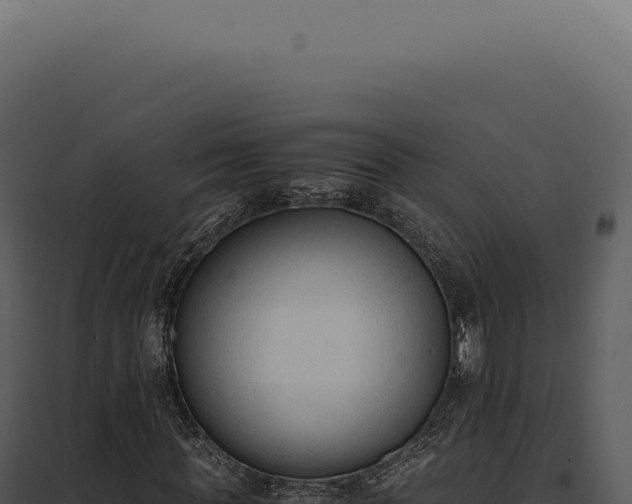 X0000097980819200804011743