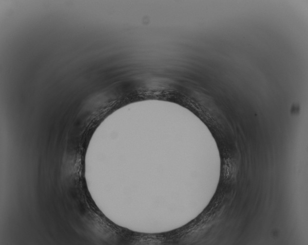 X0000097980820200804011743