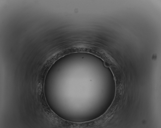 X0000097980821200804011743