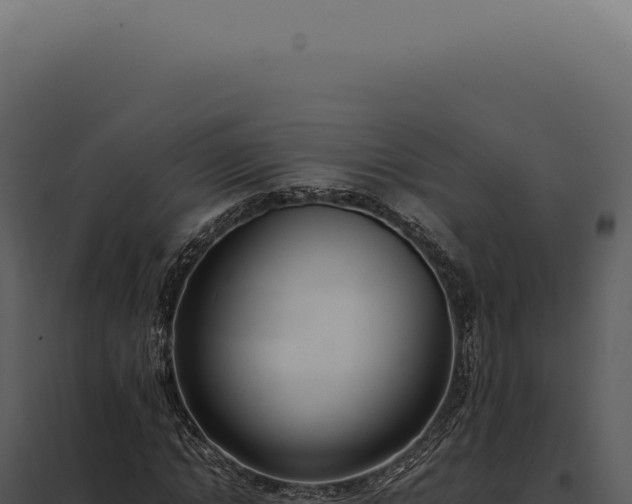 X0000097980822200804011743