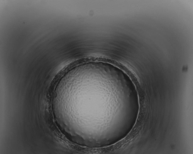 X0000097980823200804011743