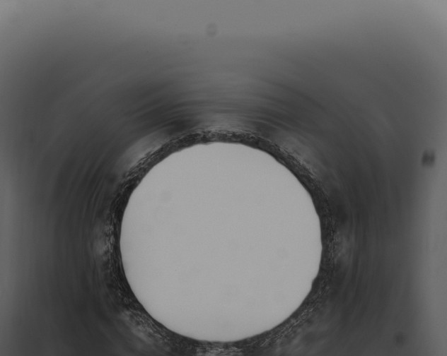 X0000097980824200804011743