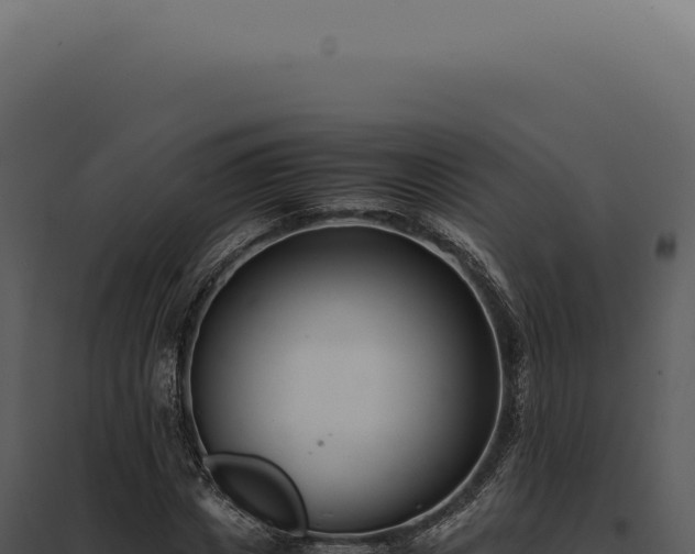 X0000097980825200804011743