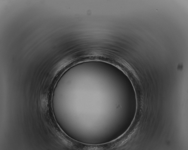 X0000097980826200804011743