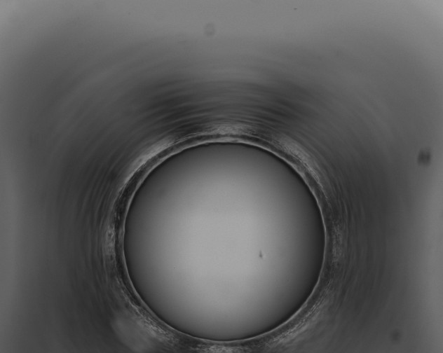 X0000097980827200804011743
