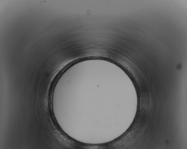 X0000097980828200804011743