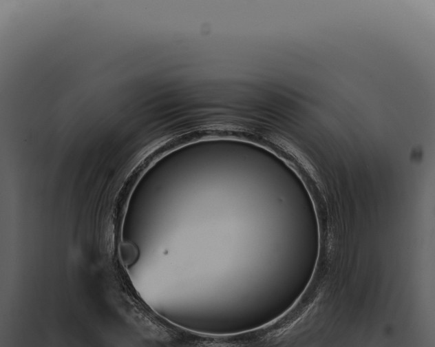X0000097980829200804011743