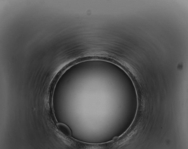X0000097980830200804011743