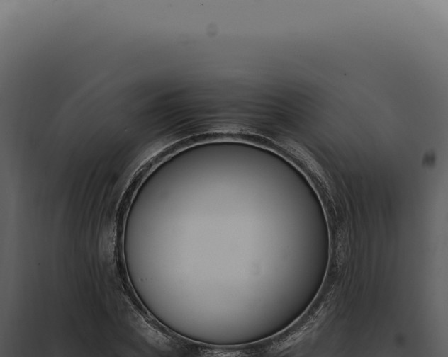 X0000097980831200804011743
