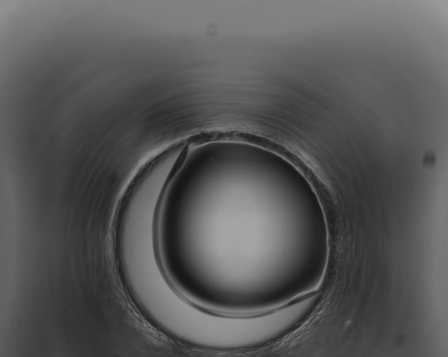 X0000097980832200804011743