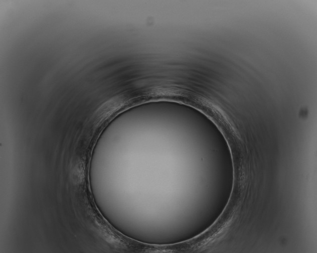 X0000097980833200804011743