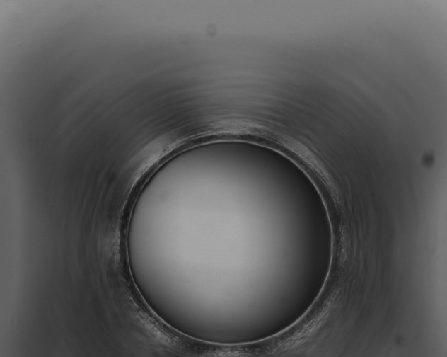 X0000097980834200804011743