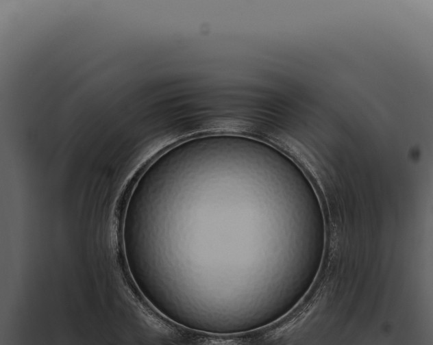 X0000097980835200804011743