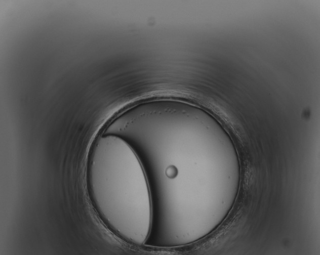 X0000097980836200804011743