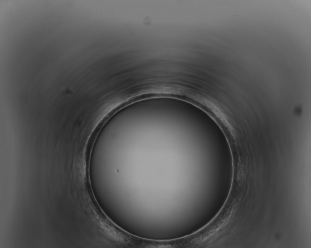 X0000097980837200804011743