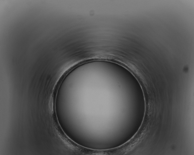 X0000097980838200804011743