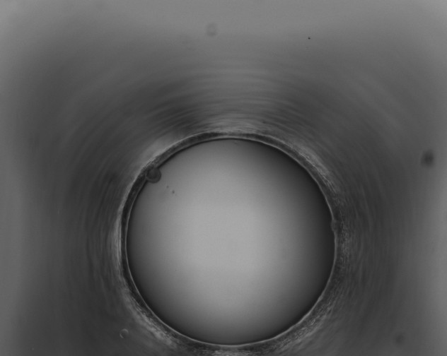 X0000097980840200804011743