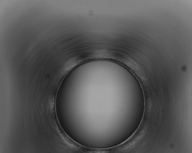 X0000097980841200804011743