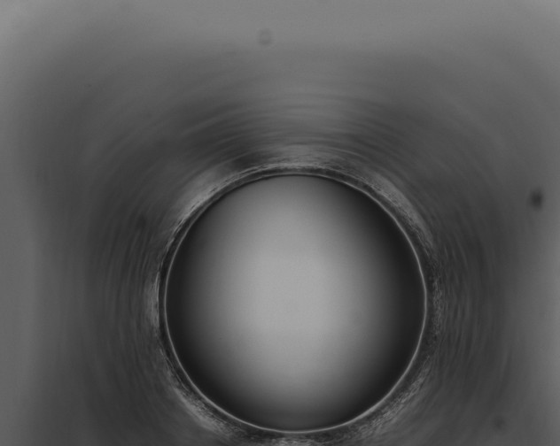 X0000097980842200804011743