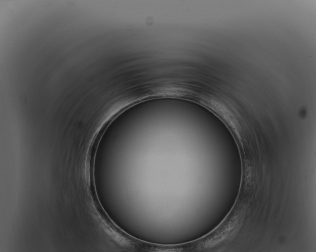 X0000097980843200804011743