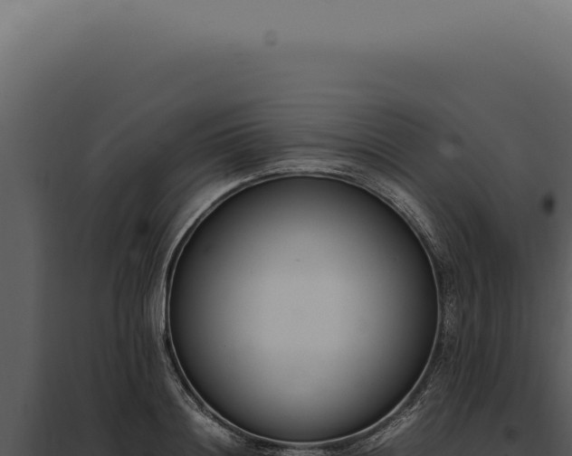 X0000097980844200804011743