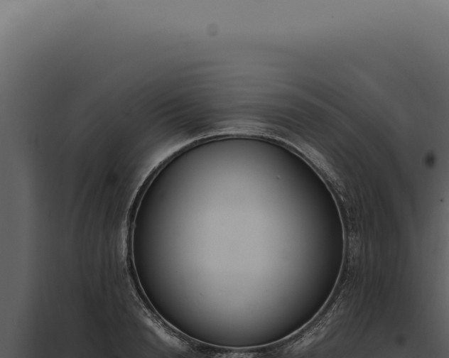 X0000097980846200804011743
