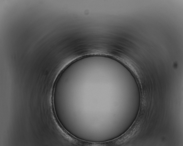 X0000097980847200804011743