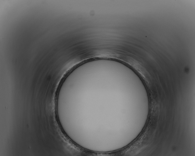 X0000097980848200804011743