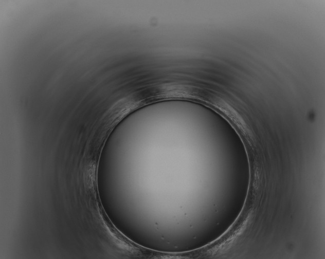 X0000097980849200804011743